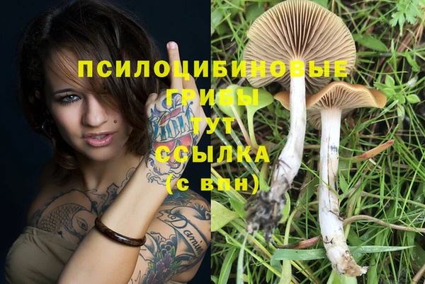 мяу мяу мука Алексин