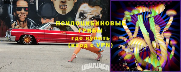 марки lsd Абаза