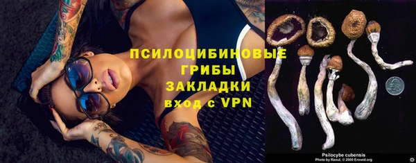 марки lsd Абаза