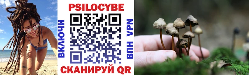 Галлюциногенные грибы Magic Shrooms  Добрянка 