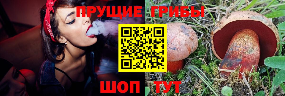 Галлюциногенные грибы Magic Shrooms  Вход с VPN  даркнет сайт  Добрянка 