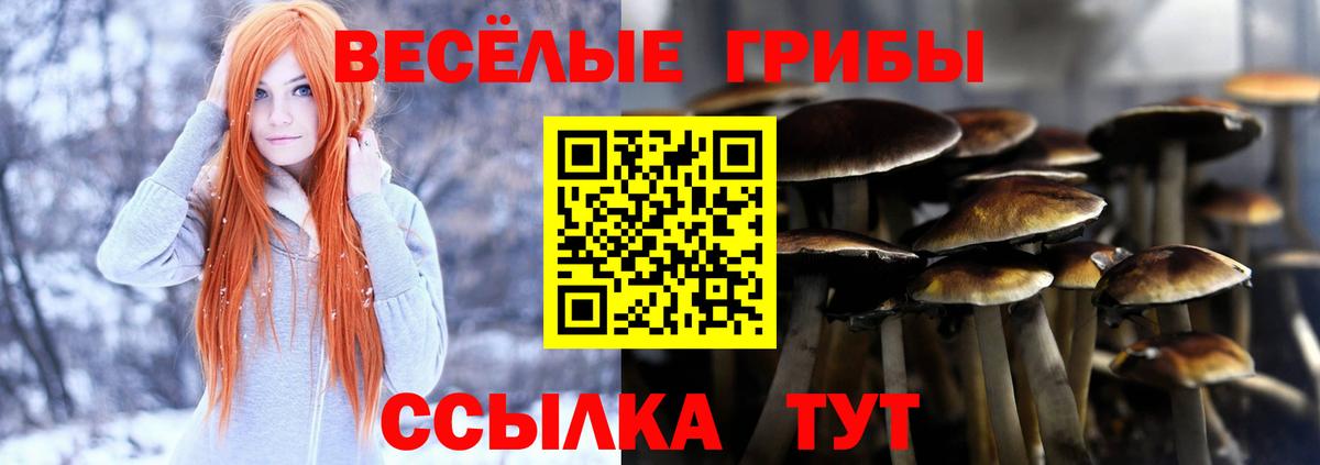 Псилоцибиновые грибы ЛСД Добрянка